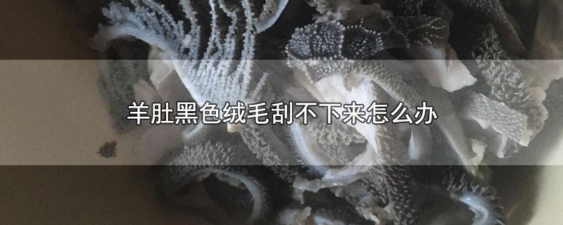 羊肚黑色绒毛刮不下来怎么办