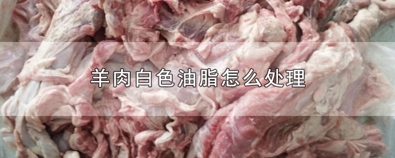 羊肉白色油脂怎么处理