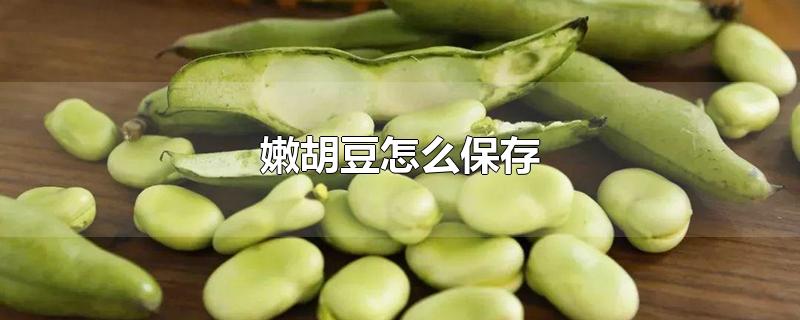 嫩胡豆怎么保存