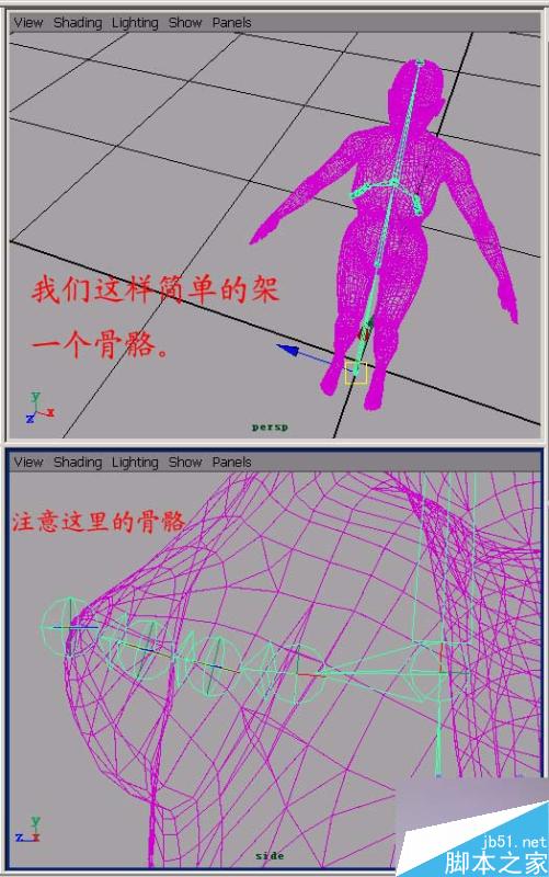 MAYA Hair制作柔体动画处理教程