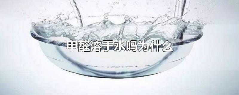 甲醛溶于水吗为什么