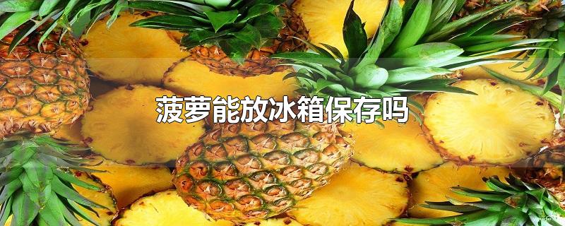 菠萝能放冰箱保存吗