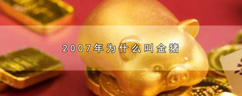 2007年为什么叫金猪