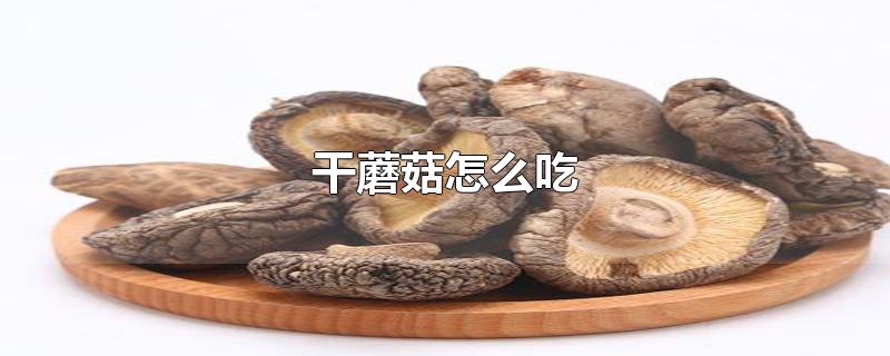 干蘑菇怎么吃