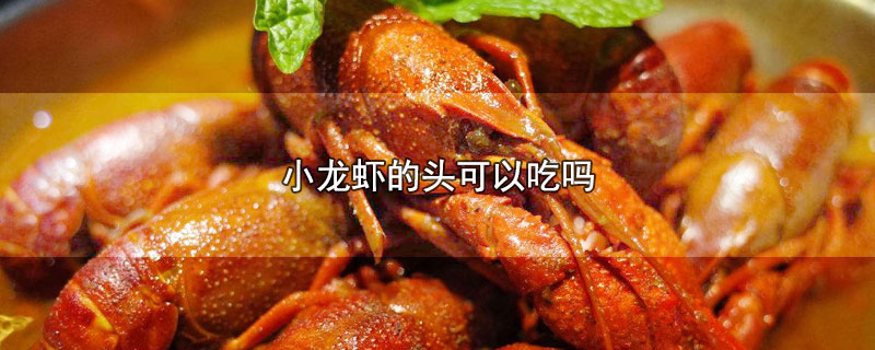 小龙虾的头可以吃吗