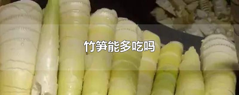 竹笋能多吃吗