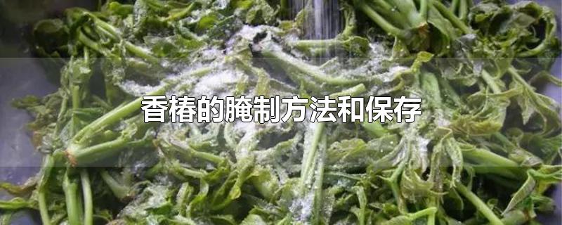 香椿的腌制方法和保存