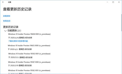 Win10 19608快速预览版怎么手动更新？