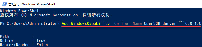 Windows Server 2019中OpenSSH Server安装教程