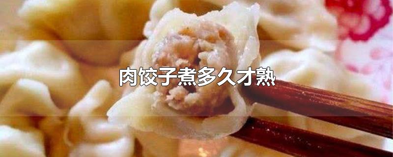 肉饺子煮多久才熟