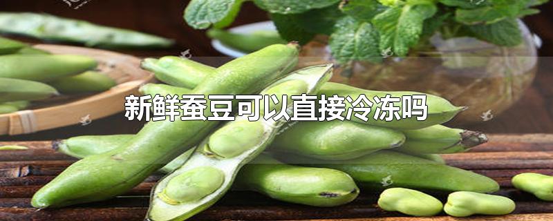 新鲜蚕豆可以直接冷冻吗