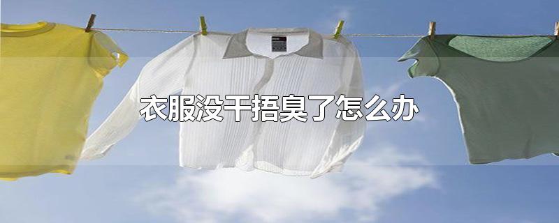 衣服没干捂臭了怎么办