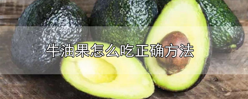 牛油果怎么吃正确方法