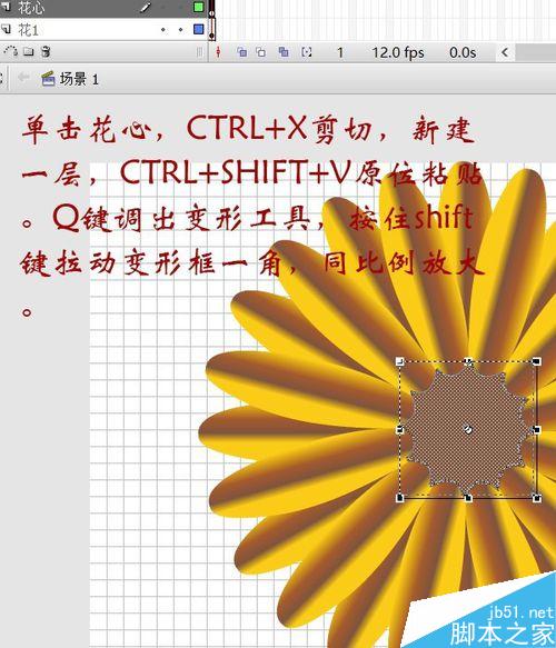 flash绘制一朵非常漂亮的花