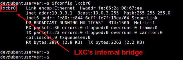 在Ubuntu系统中使用LXC容器的教程