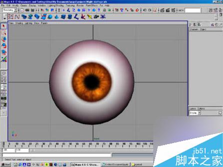 用MAYA快速制作逼真的眼球