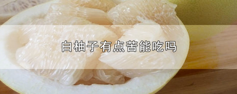 白柚子有点苦能吃吗