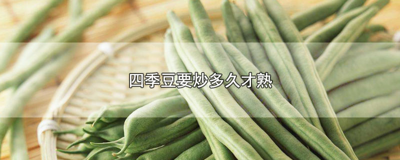 四季豆要炒多久才熟