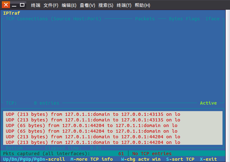 Linux中iptraf命令详解(IP局域网监控工具)