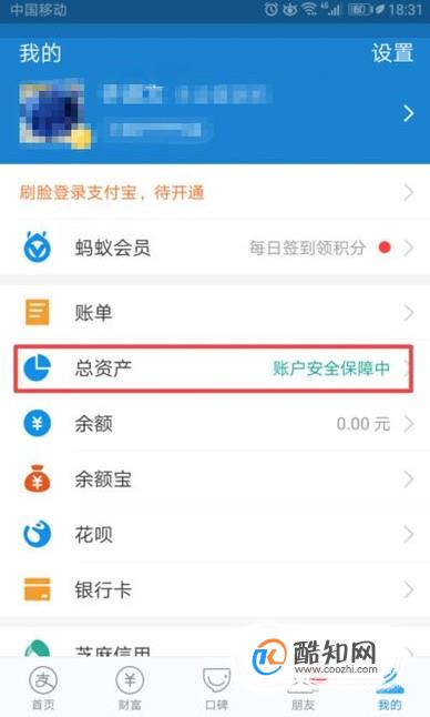 支付宝如何查看财富总资产和收益情况