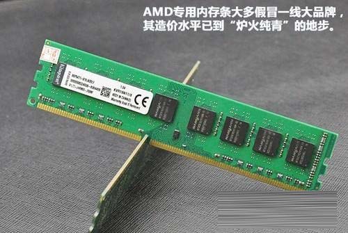 AMD专用内存是什么意思 AMD专用内存与普通内存的区别是什么