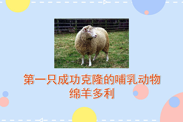 克隆是什么意思