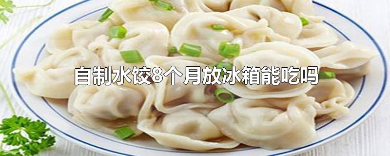 自制水饺8个月放冰箱能吃吗