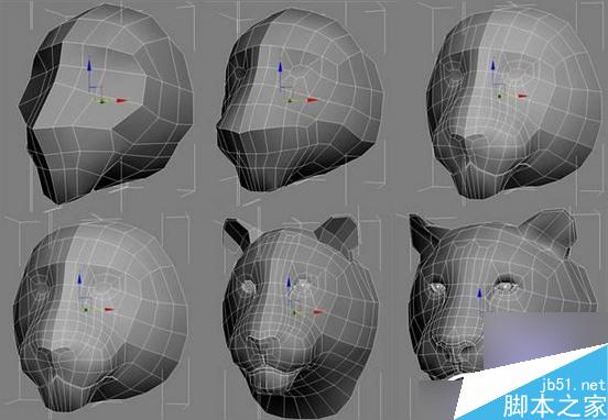 3dsMax制作超逼真的3D老虎