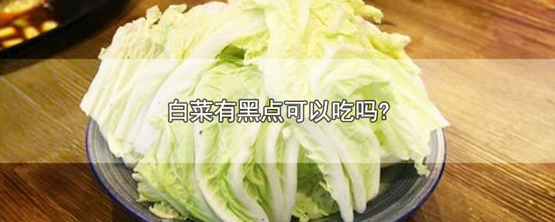 白菜有黑点可以吃吗?