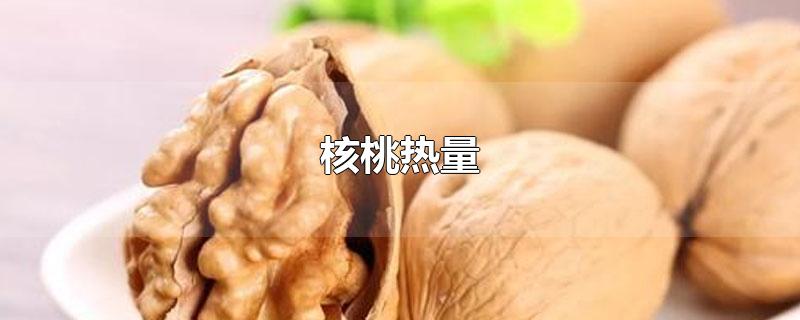 核桃热量