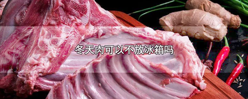 冬天肉可以不放冰箱吗