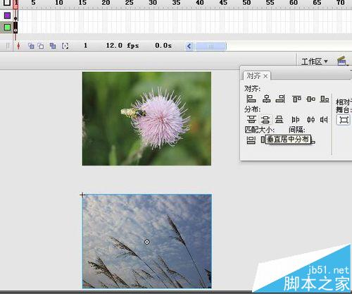 flash怎么制作模糊遮罩效果? flash遮罩动画的制作方法