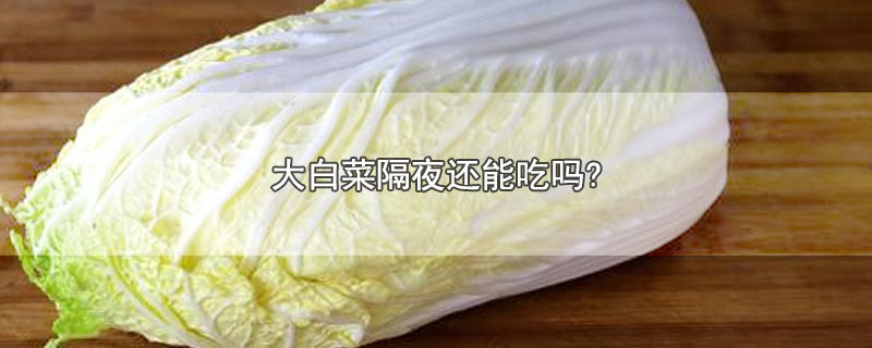 大白菜隔夜还能吃吗?