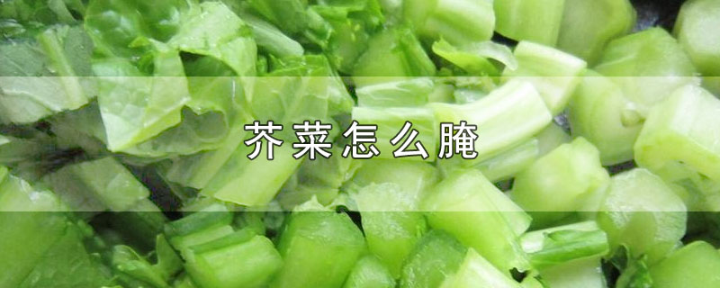 芥菜怎么腌