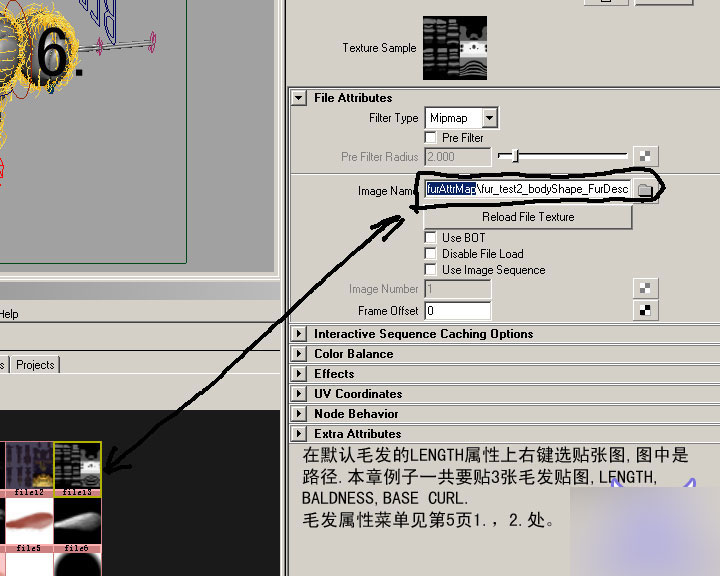 MAYA FUR制作超逼真的蜜蜂体毛