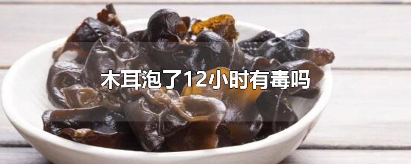 木耳泡了12小时有毒吗