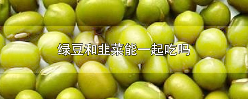 绿豆和韭菜能一起吃吗