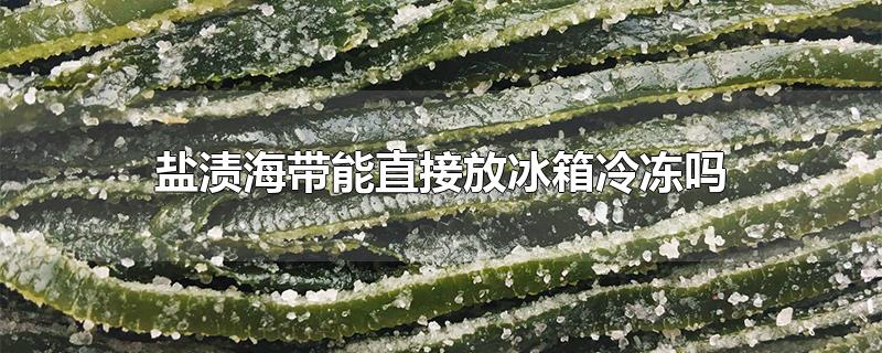 盐渍海带能直接放冰箱冷冻吗