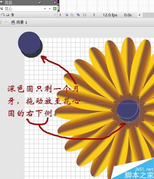 flash绘制一朵非常漂亮的花