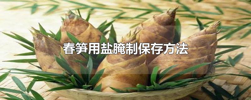 春笋用盐腌制保存方法