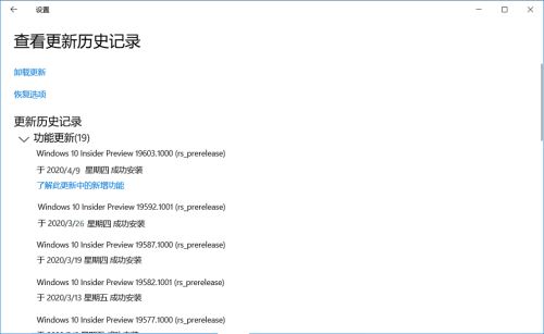 Win10 19608快速预览版怎么手动更新？