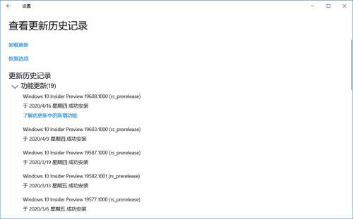 Win10快速预览版19608.1006怎么手动更新升级？
