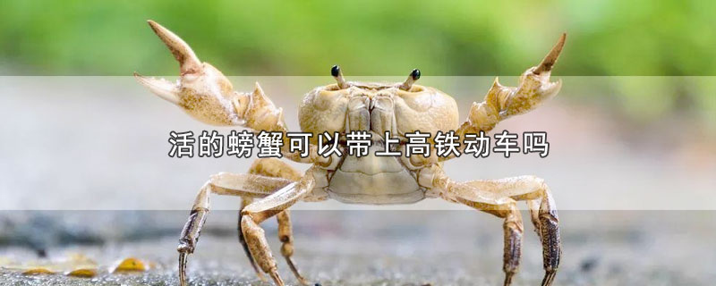 活的螃蟹可以带上高铁动车吗