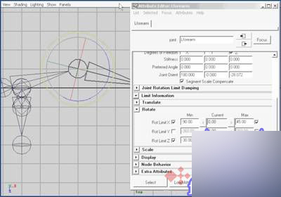 Maya7.0 骨骼动力学之骨骼动画制作教程