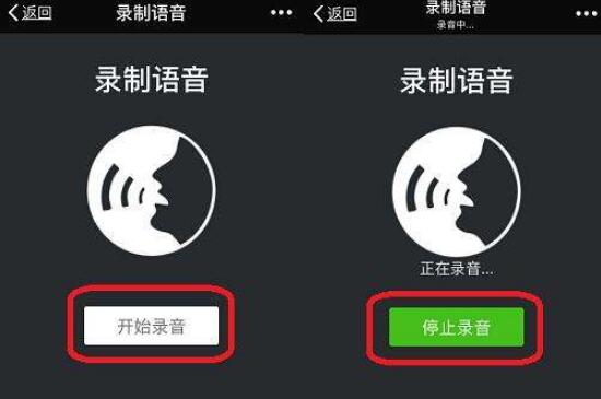 微信不能发语音怎么设置