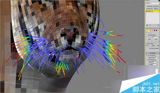 3dsMax制作超逼真的3D老虎