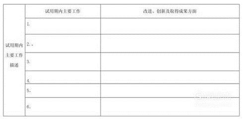 试用期工作总结怎么写