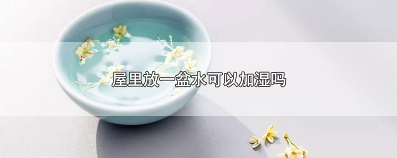 屋里放一盆水可以加湿吗