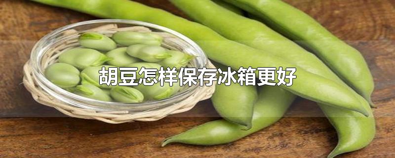 胡豆怎样保存冰箱更好