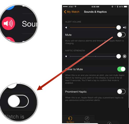 AppleWatch铃声和提醒怎么设置静音?